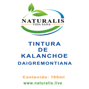 Tintura de Kalanchoe Daigremontiana (100 ml)